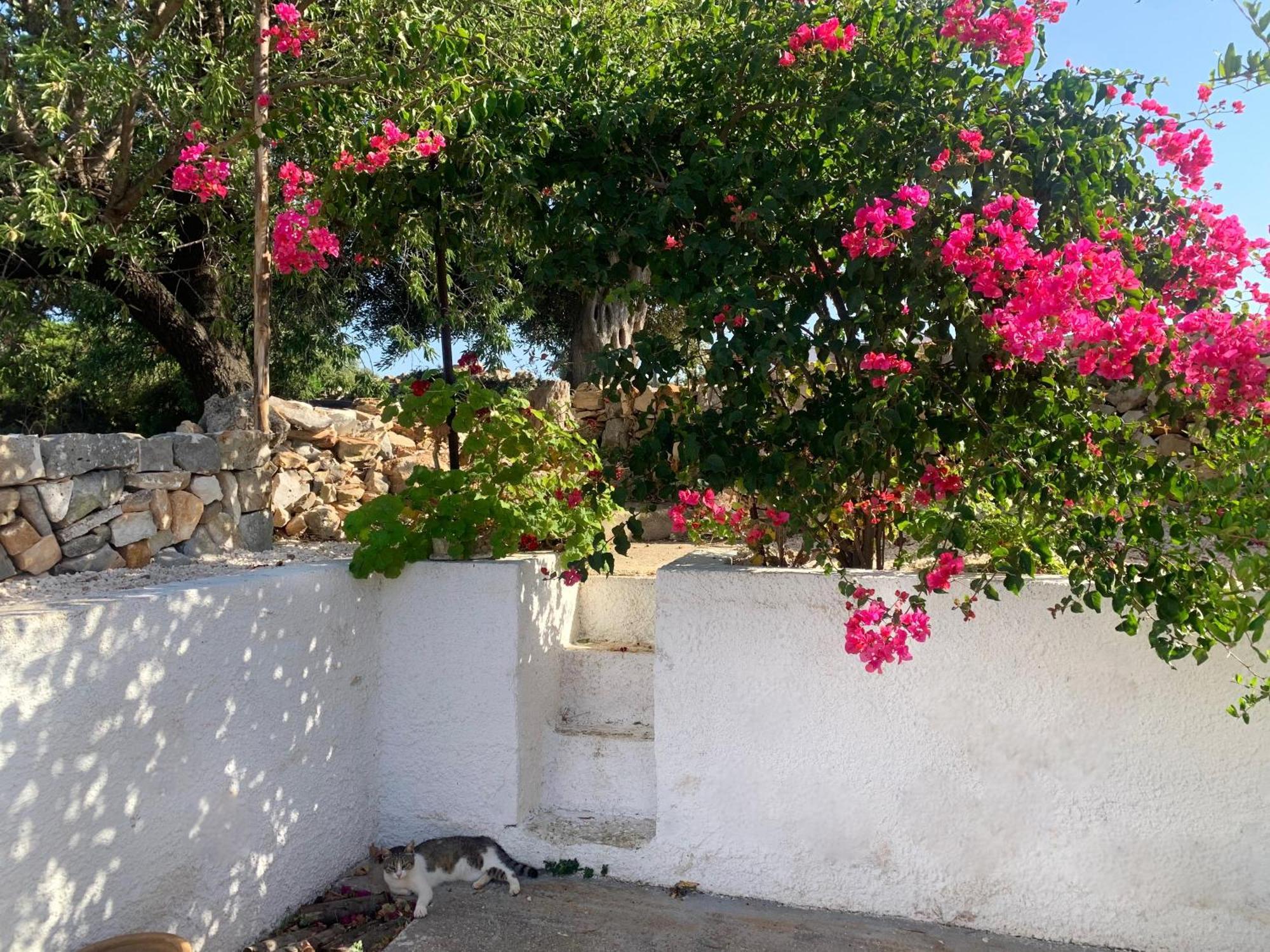 Bei Tempi Polignano a Mare Exterior foto